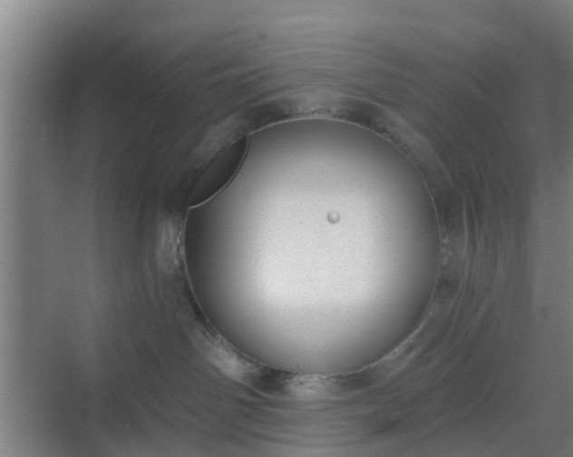 X0000069800142200605261732