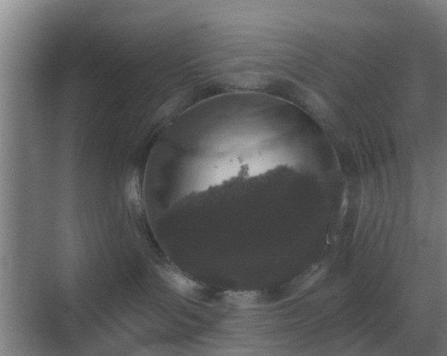 X0000069800143200605261732