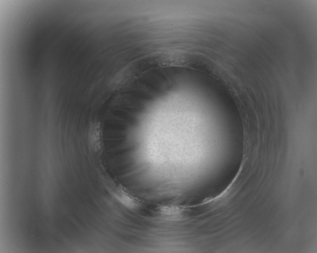 X0000069800144200605261732