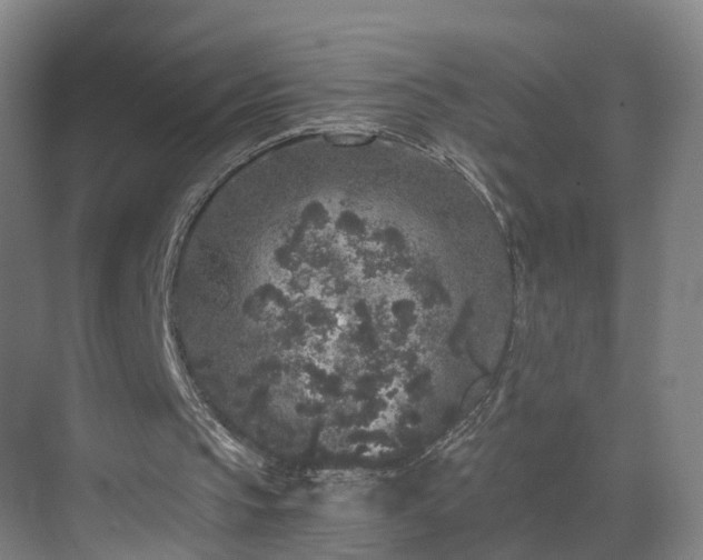 X0000069800145200605261731