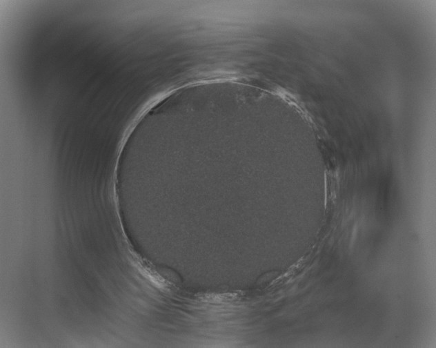 X0000069800147200605261731