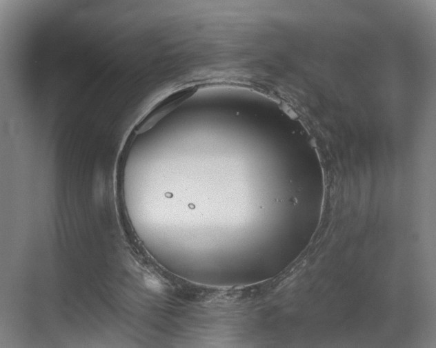 X0000069800148200605261731