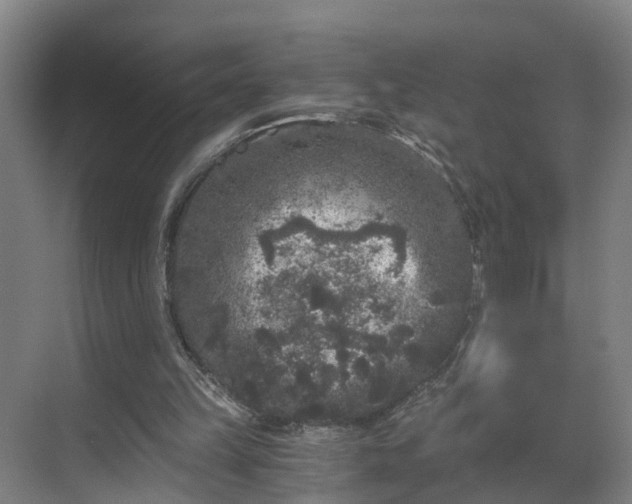 X0000069800149200605261731