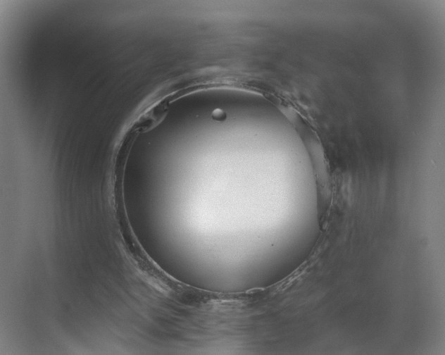 X0000069800150200605261731