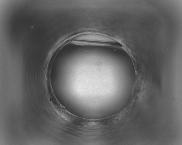 X0000069800151200605261731