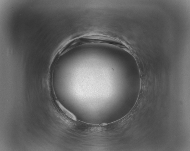 X0000069800152200605261732