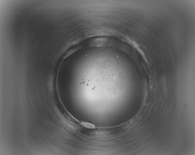 X0000069800154200605261732