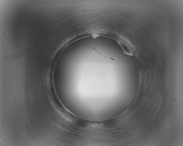 X0000069800155200605261732