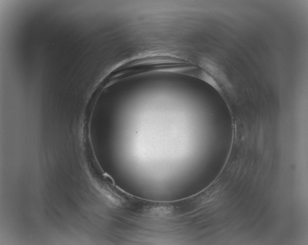 X0000069800156200605261732