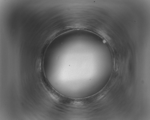 X0000069800157200605261732