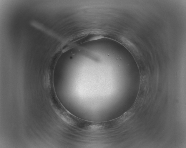 X0000069800158200605261732