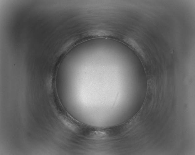 X0000069800159200605261732