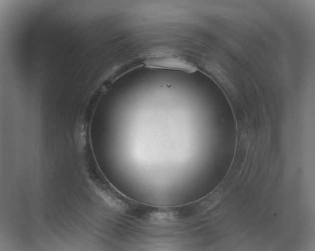 X0000069800160200605261732