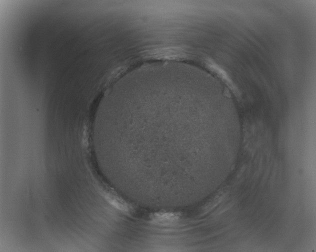 X0000069800161200605261732