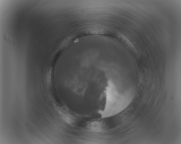 X0000069800163200605261732