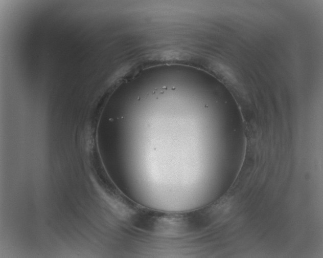 X0000069800164200605261732