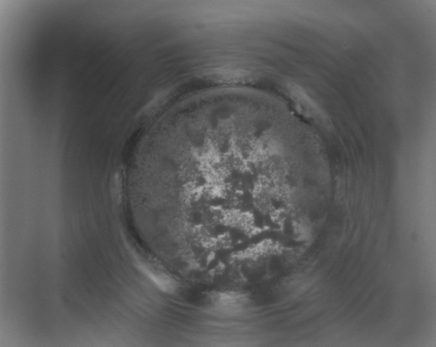 X0000069800165200605261732