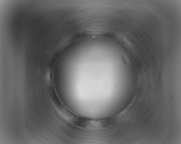 X0000069800166200605261732