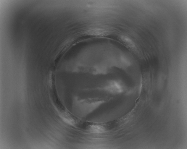 X0000069800167200605261732