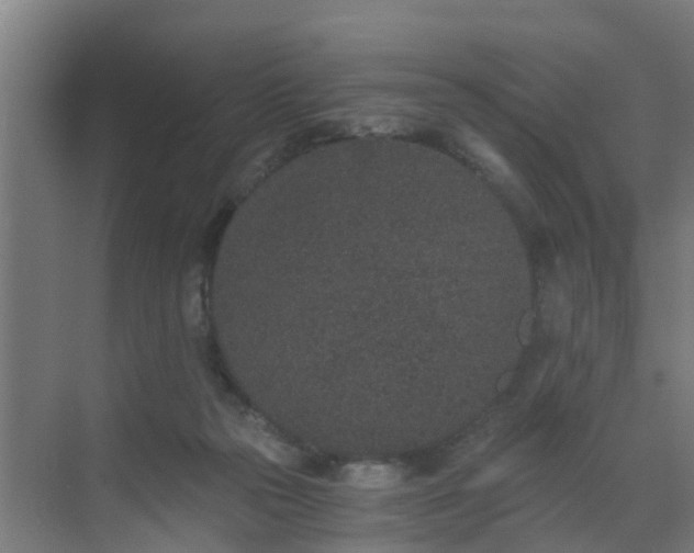 X0000069800169200605261732