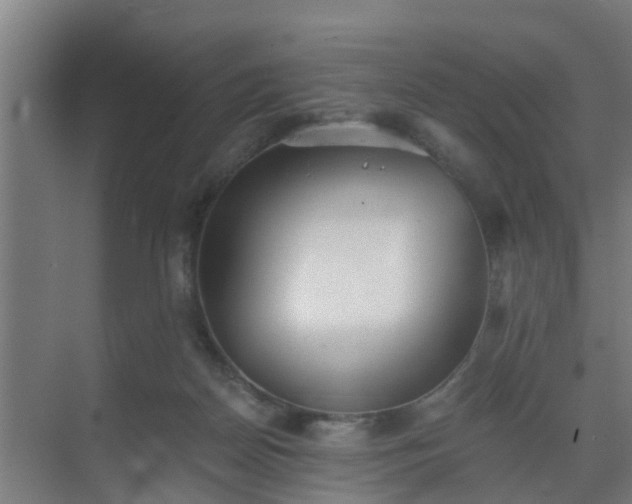 X0000069800170200605261732