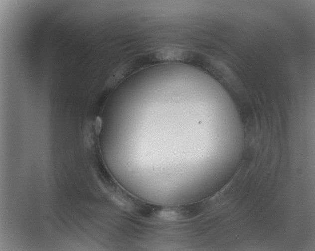 X0000069800171200605261732