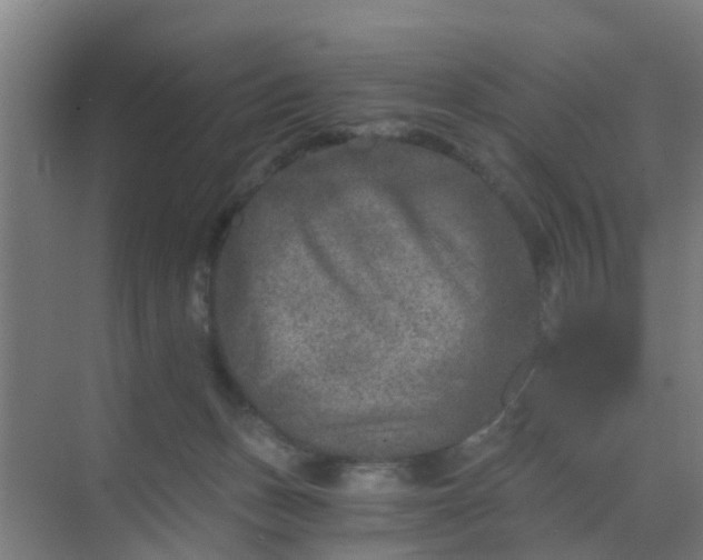 X0000069800175200605261732