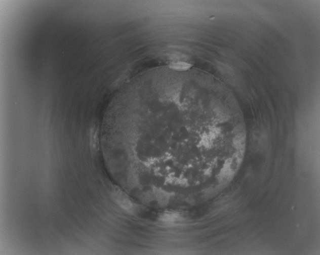 X0000069800177200605261732