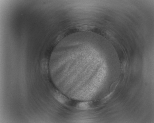 X0000069800178200605261732