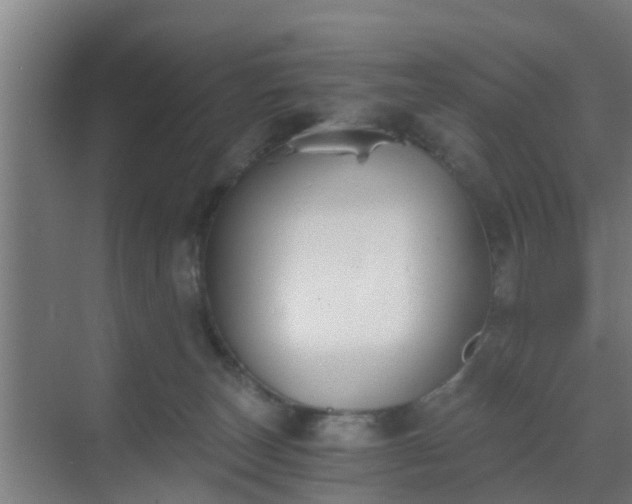 X0000069800179200605261732