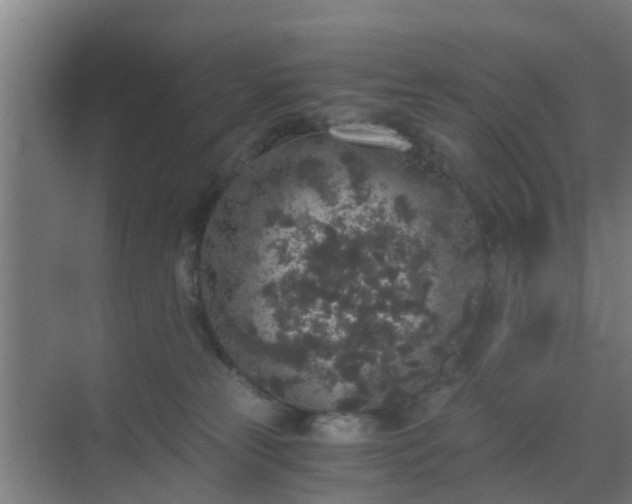 X0000069800181200605261732