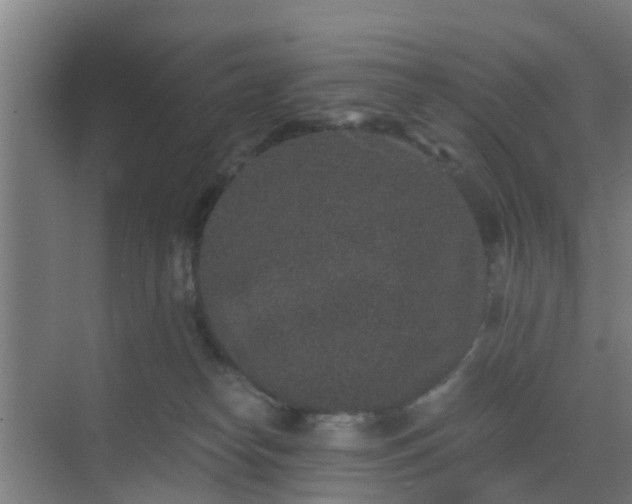 X0000069800182200605261732