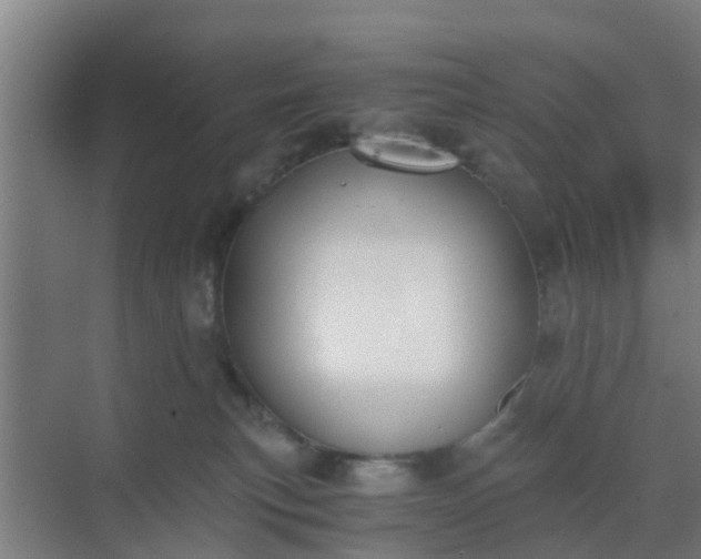 X0000069800183200605261732