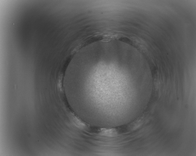 X0000069800185200605261732