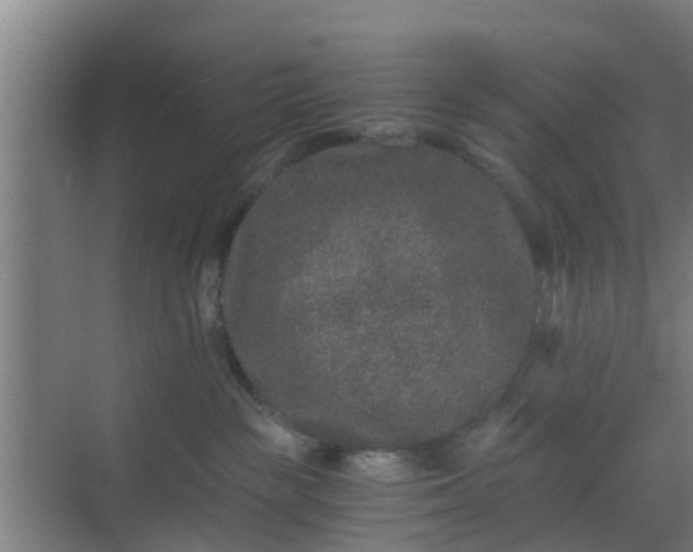 X0000069800189200605261732