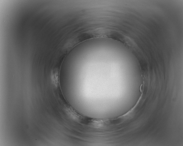 X0000069800190200605261732