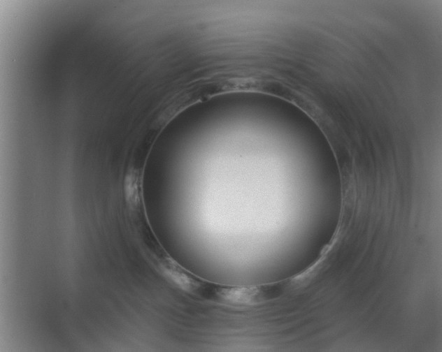 X0000069800191200605261732