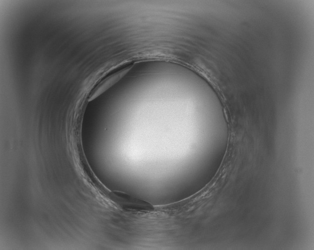 X0000069800193200605261731