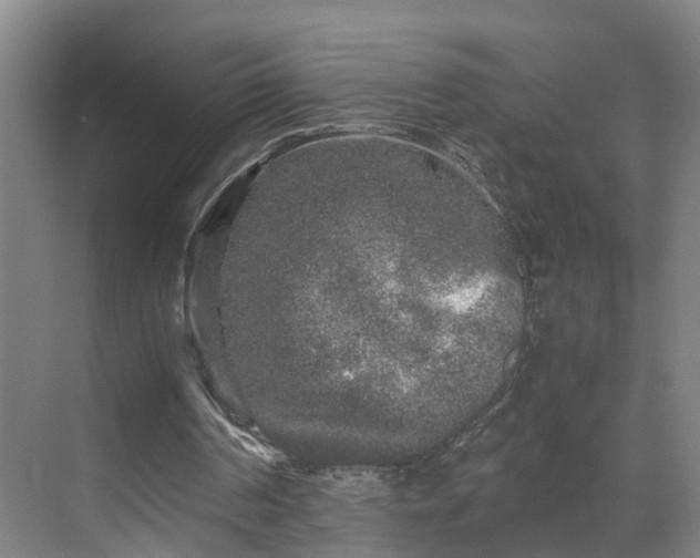 X0000069800194200605261731