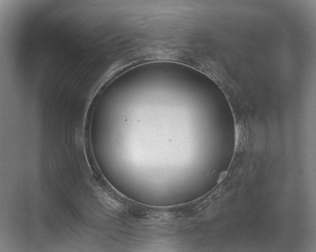 X0000069800195200605261731