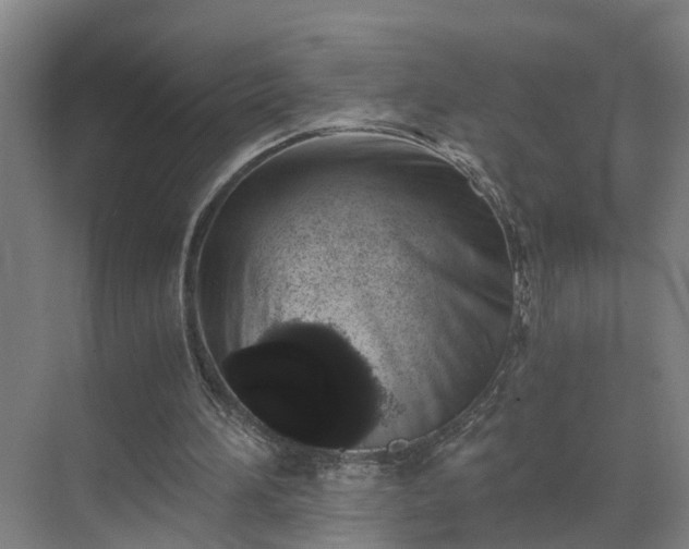 X0000069800196200605261731