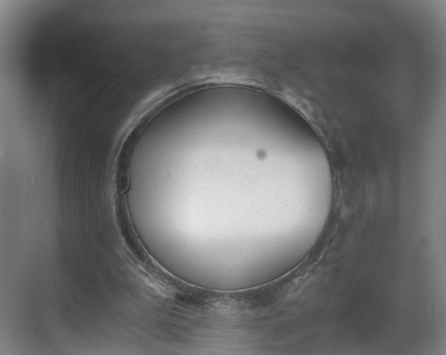 X0000069800199200605261731