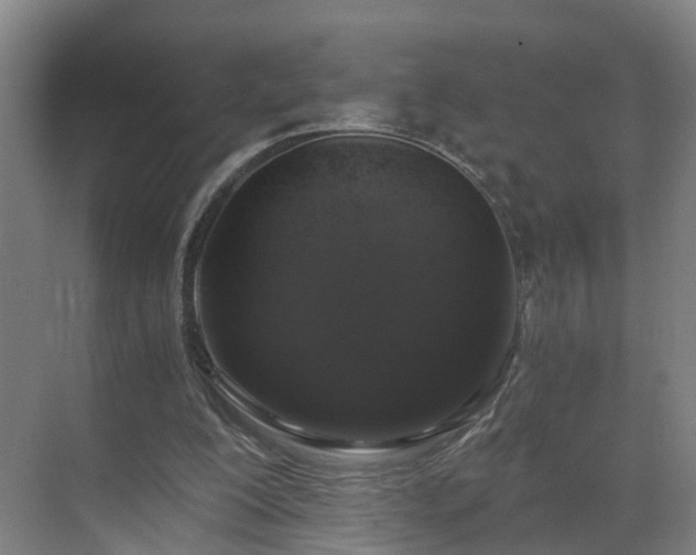 X0000069800200200605261731