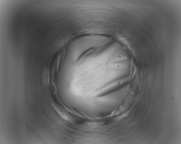 X0000069800205200605261731