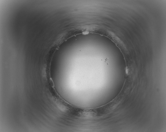 X0000069800209200605261731