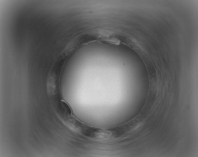 X0000069800215200605261731