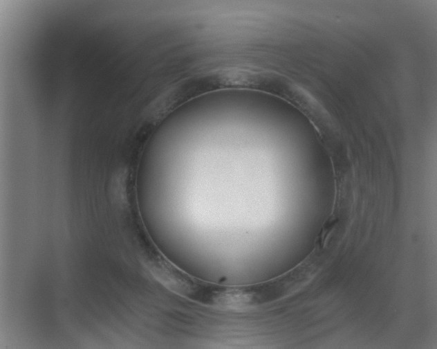 X0000069800217200605261731