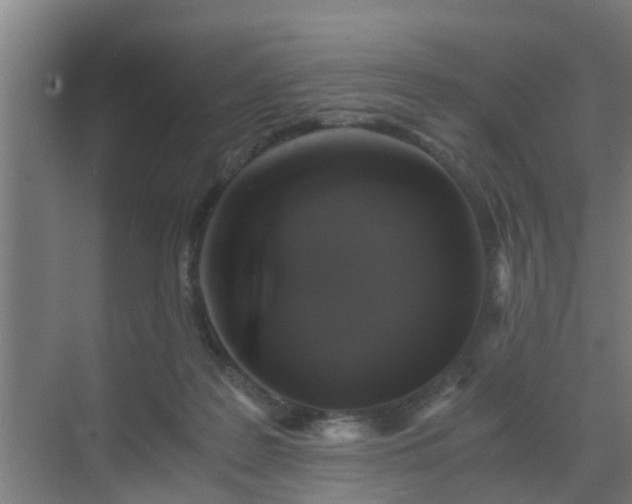 X0000069800219200605261731