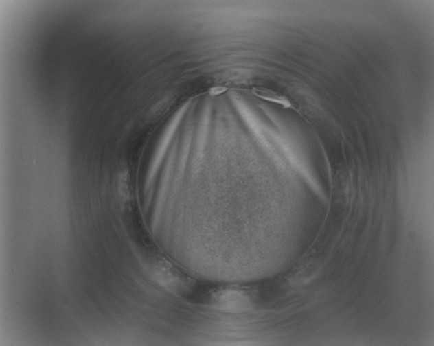 X0000069800224200605261731