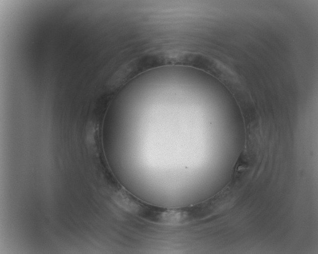 X0000069800225200605261731